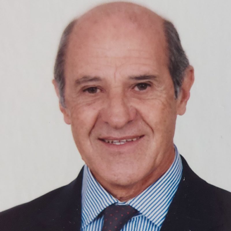 Manuel Fernando Domingues